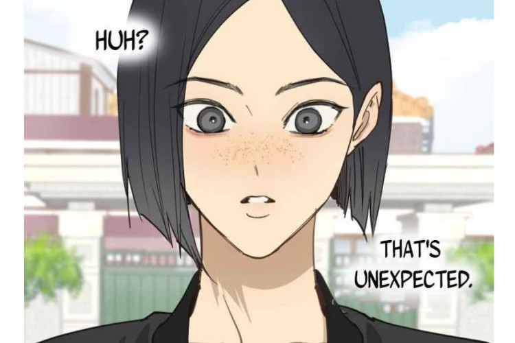 Análise Teórica do Manhwa Flowers Are Bait Capítulo 55 PT BR, O Corajoso Chae Woo
