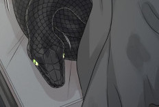 Spoiler do Manhwa BL Do You Not Really Like This Kind of Snake? Capítulo 6 PT BR, Um Encontro Emocionante