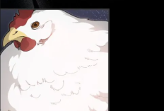 Links de Leitura Manhwa Mr.A's Farm Capítulo 23 Scan PT BR, Então é mesmo galinha...